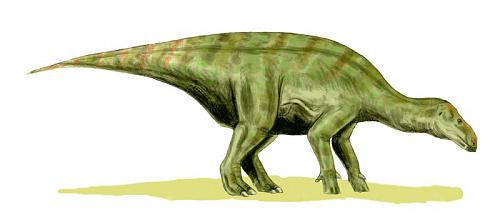 Нажмите на изображение для увеличения
Название: Iguanodon_BW.jpg
Просмотров: 1710
Размер:	26.0 Кб
ID:	25