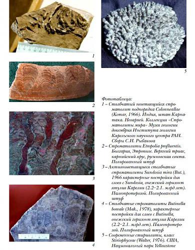 Нажмите на изображение для увеличения
Название: СЃС‚СЂРѕРјР°С‚РѕР»РёС‚С‹.jpg
Просмотров: 1722
Размер:	132.6 Кб
ID:	2751