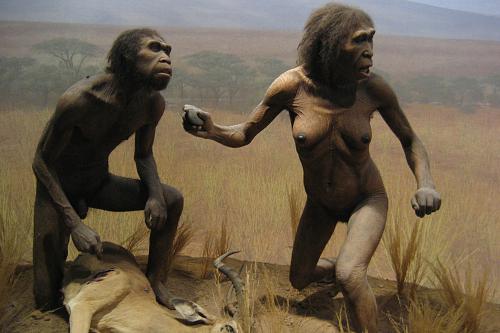 Нажмите на изображение для увеличения
Название: homo erectus.jpg
Просмотров: 1009
Размер:	143.8 Кб
ID:	3014